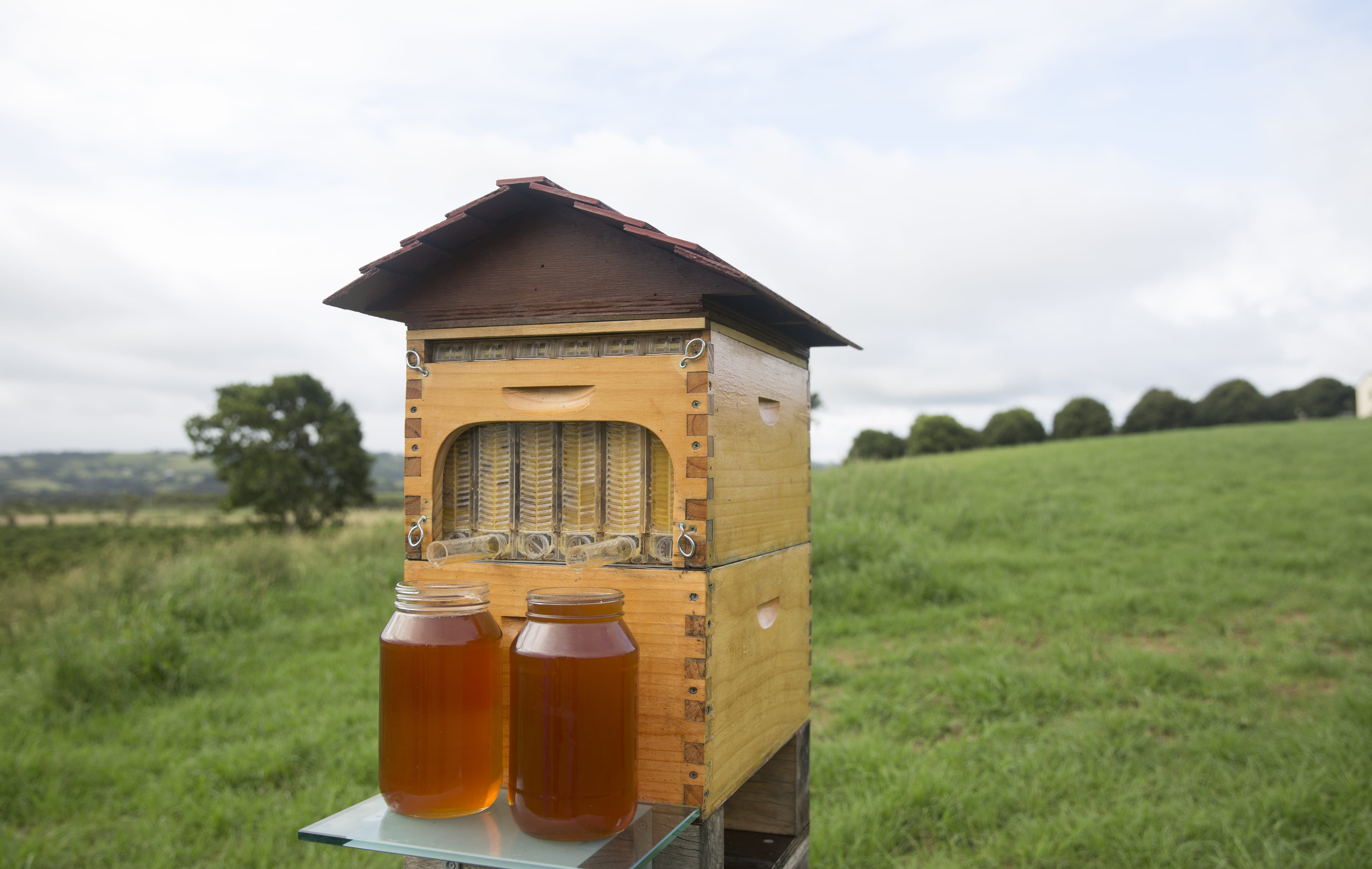 Produzione miele