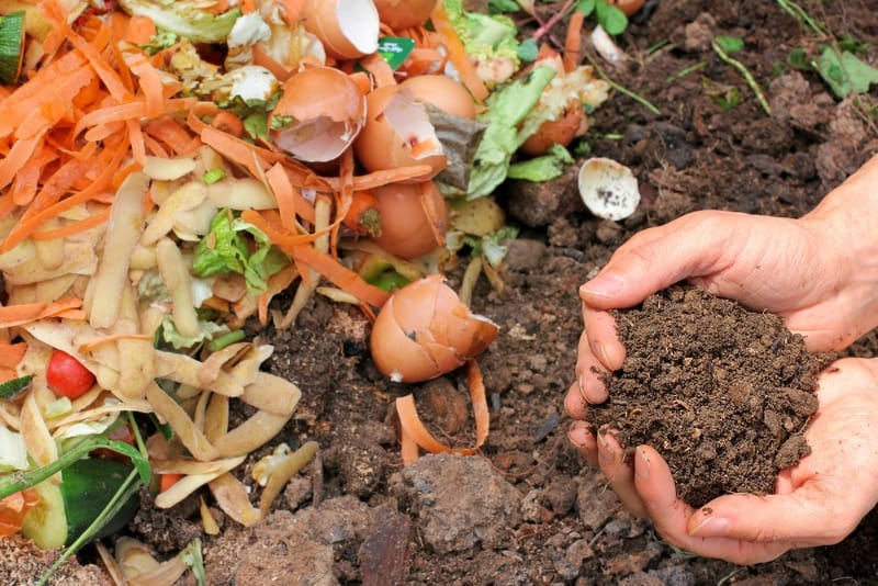 Come gestire il rifiuto secco e l'umido organico nella ristorazione -  Ciclia Ambiente