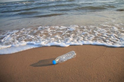 Conseguenze Della Plastica In Mare - Non Sprecare