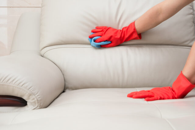 Si può pulire un divano con un ferro da stiro a vapore?