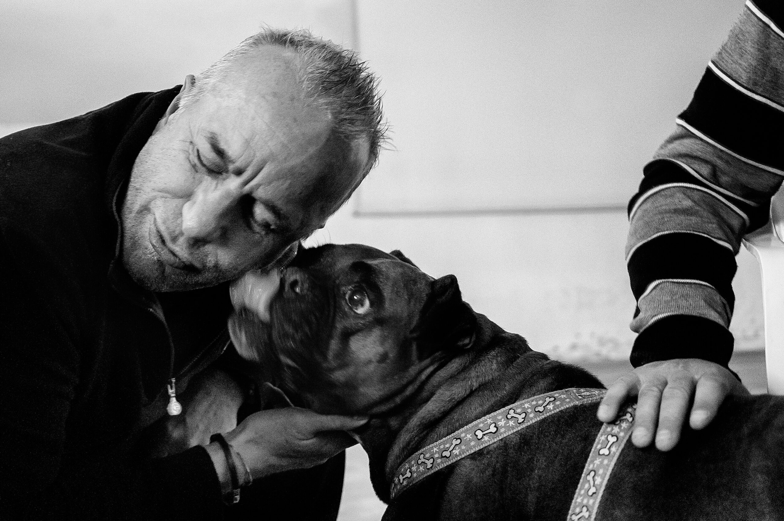 Pet Therapy In Carcere Cos I Detenuti Addestrano I Cani Non Sprecare