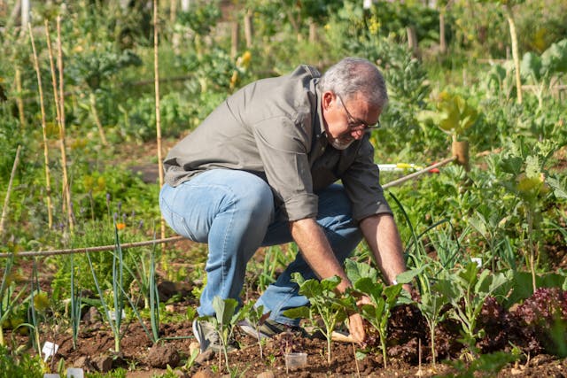 Corsi per coltivare l'orto: i migliori in Italia 