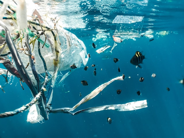 Microplastiche cosa sono e quali danni provocano 