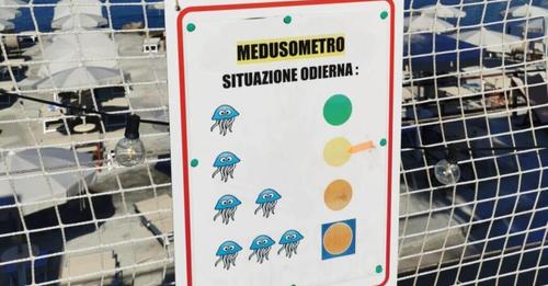 A Livorno il medusometro avvisa i bagnanti