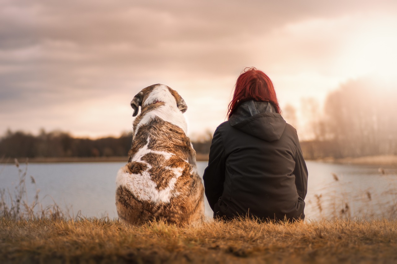 Come usare la telepatia per parlare con i cani