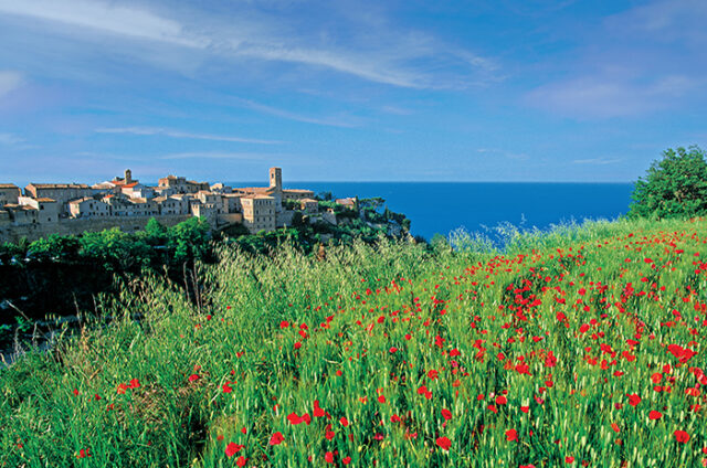 torre di palme