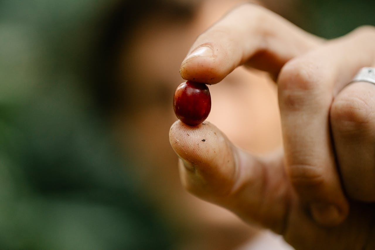 Il caffè prodotto sfruttando donne e bambini