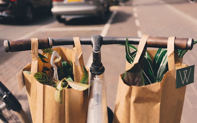 bolsa de papel de compras